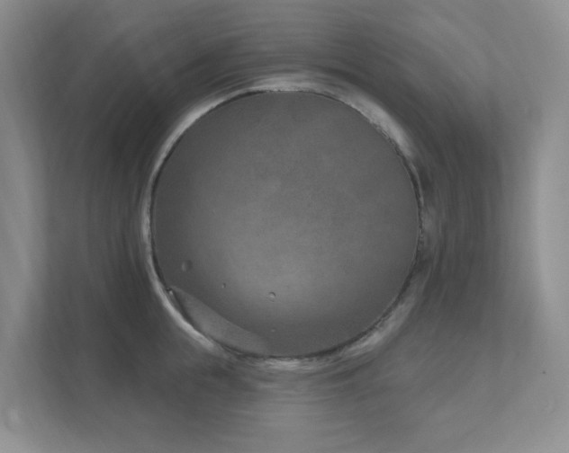 X0000111620855200907171243