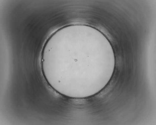 X0000111620856200907171243