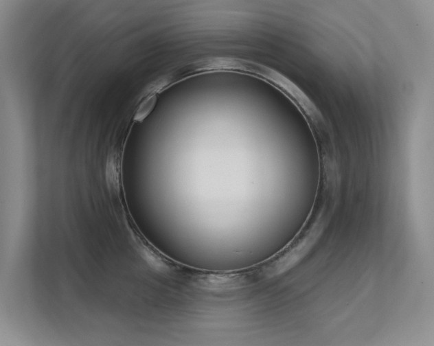 X0000111620857200907171243