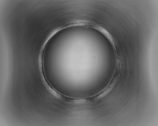 X0000111620859200907171243