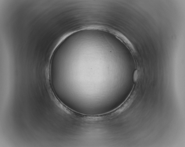 X0000111620860200907171243