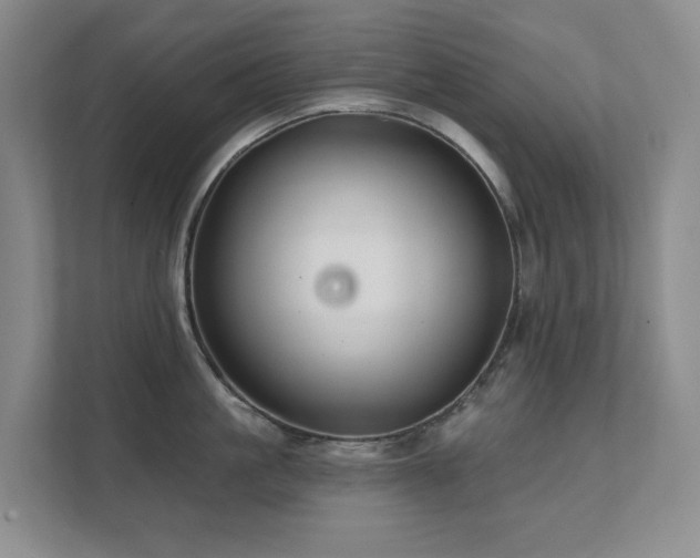 X0000111620861200907171243