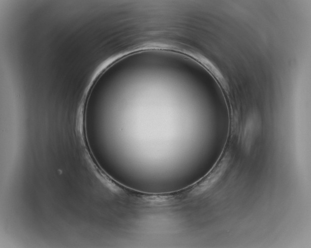 X0000111620862200907171243
