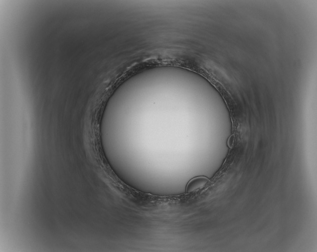 X0000111620865200907171242