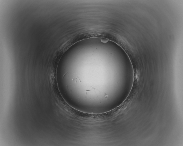 X0000111620867200907171242