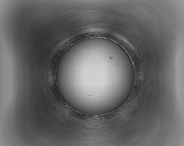 X0000111620869200907171242