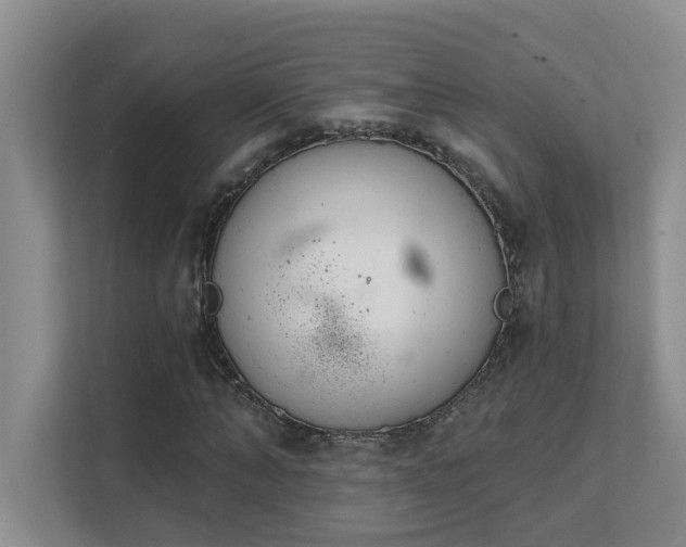 X0000111620870200907171242