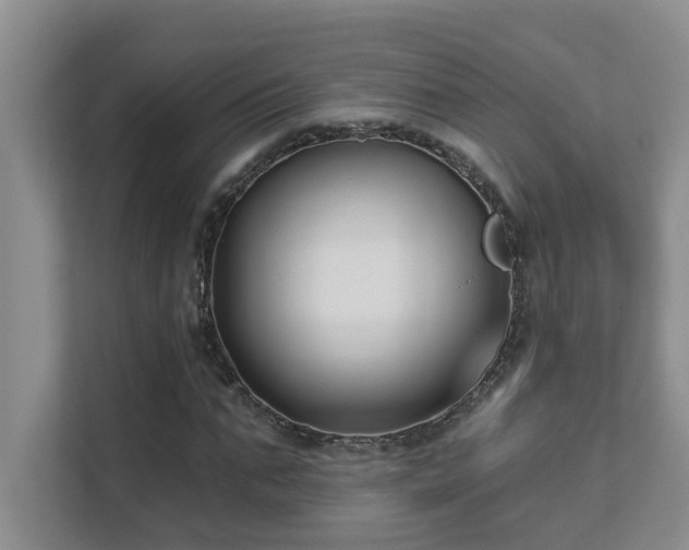 X0000111620871200907171242
