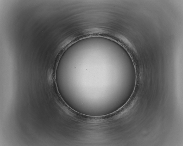 X0000111620873200907171242