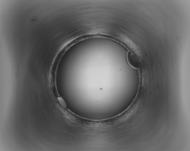 X0000111620876200907171242
