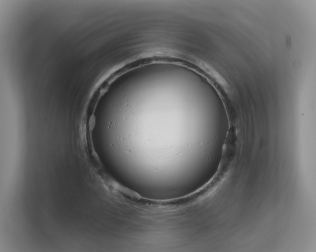 X0000111620877200907171242