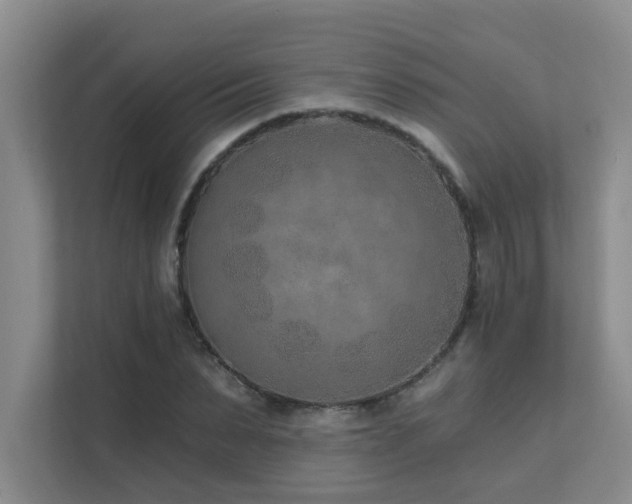 X0000111620879200907171242