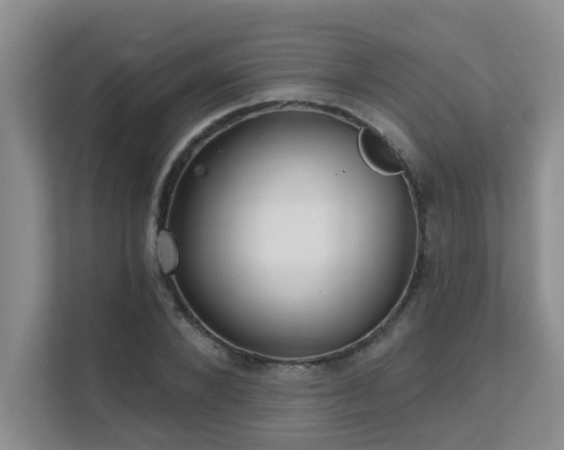 X0000111620880200907171242