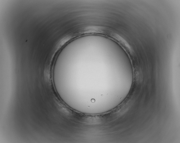 X0000111620882200907171242