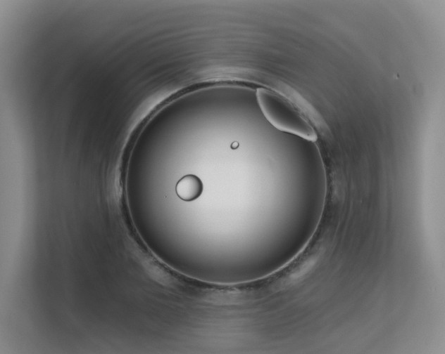 X0000111620885200907171242