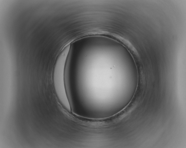 X0000111620889200907171242