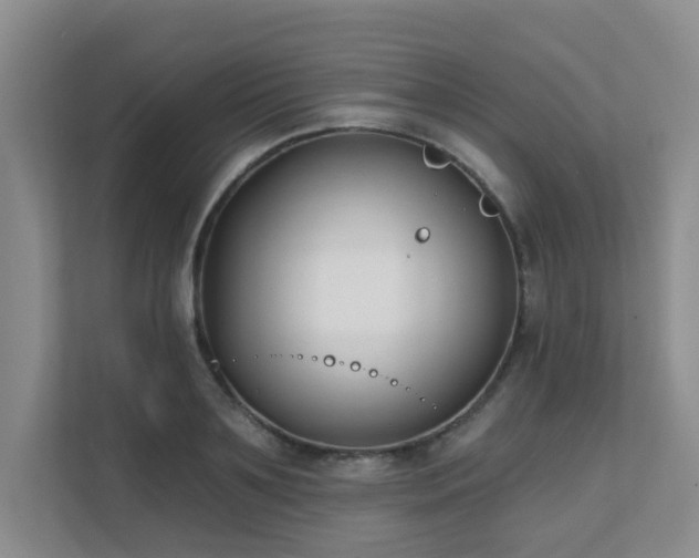 X0000111620891200907171242