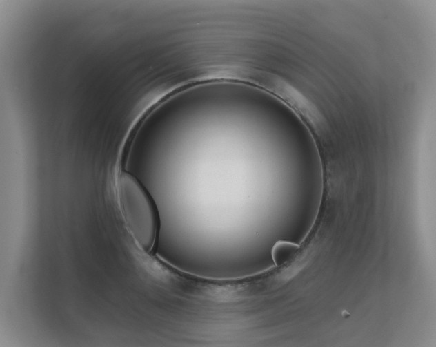 X0000111620892200907171242