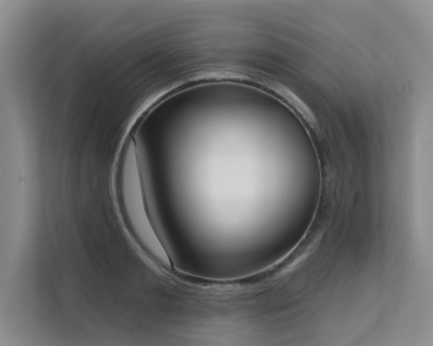 X0000111620893200907171242