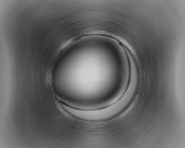 X0000111620897200907171242