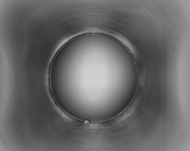 X0000111620903200907171242