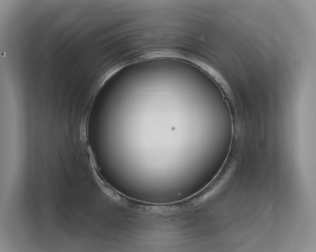 X0000111620905200907171241