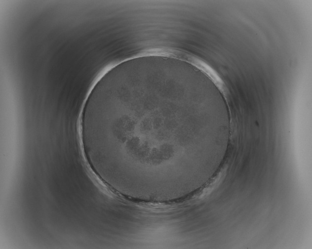 X0000111620907200907171241