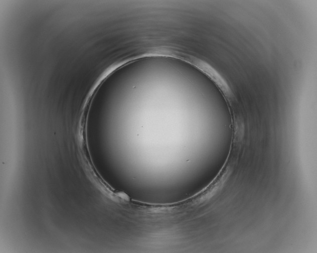 X0000111620908200907171241