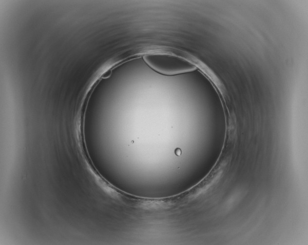 X0000111620909200907171241