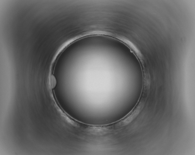 X0000111620910200907171241