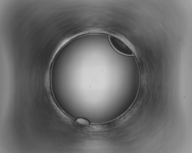 X0000111620911200907171241