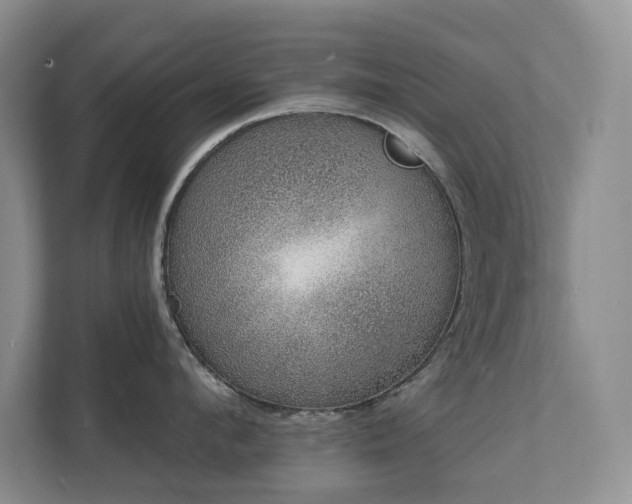 X0000111620912200907171241