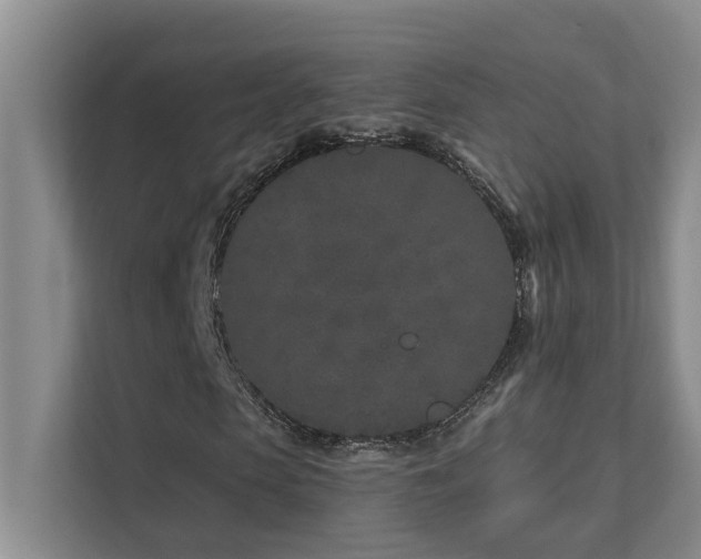 X0000111620913200907171241