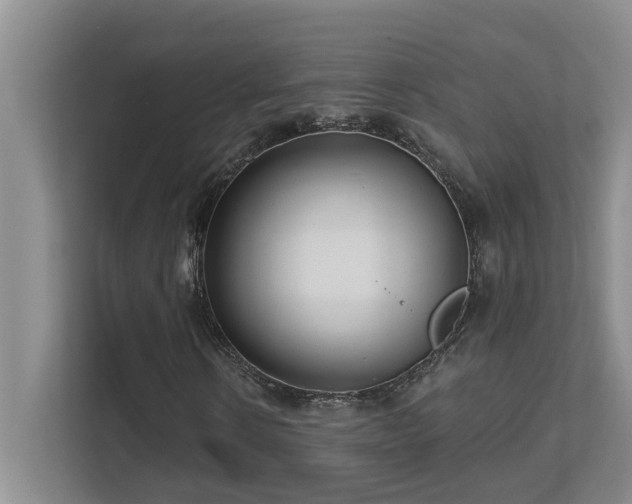 X0000111620914200907171241