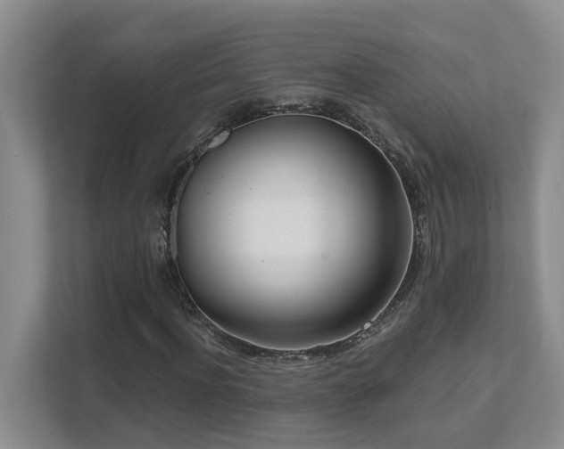 X0000111620916200907171241