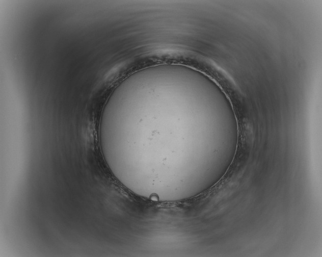 X0000111620918200907171241