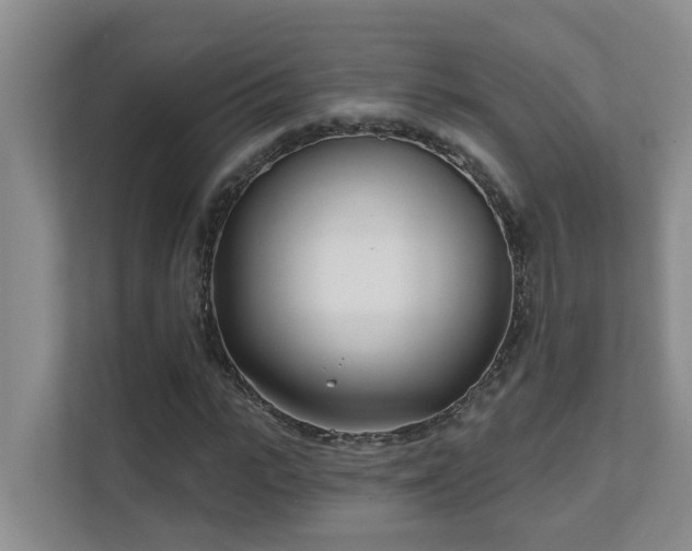 X0000111620919200907171241