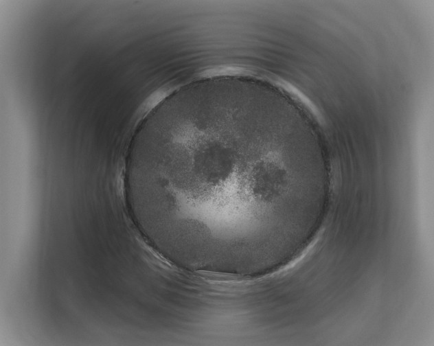 X0000111620921200907171241