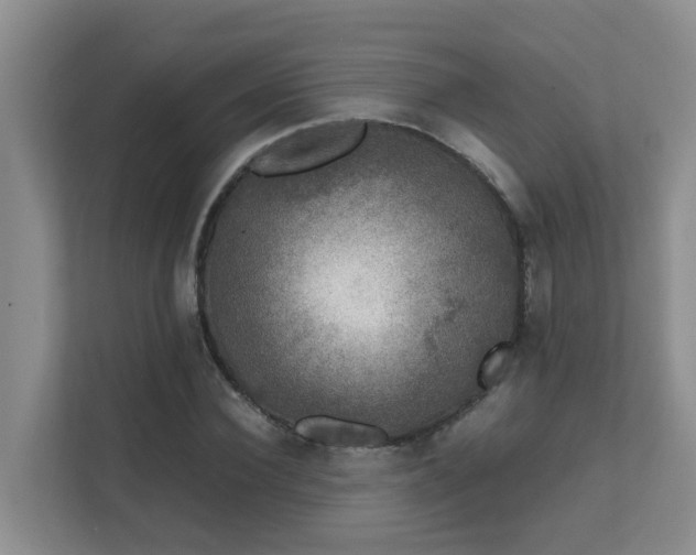 X0000111620924200907171241
