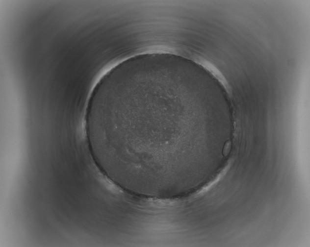 X0000111620928200907171241