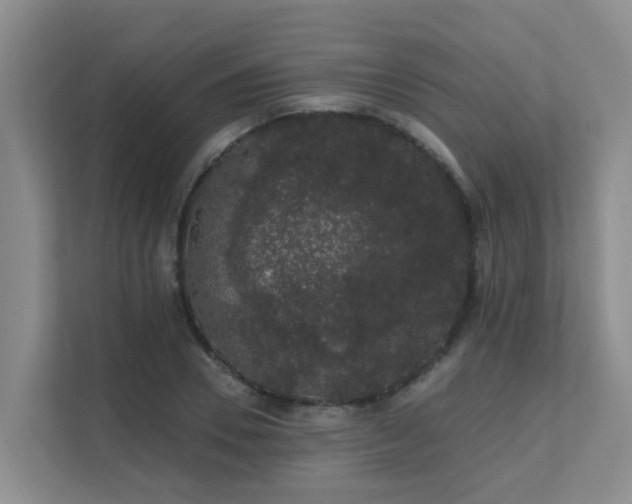 X0000111620930200907171241