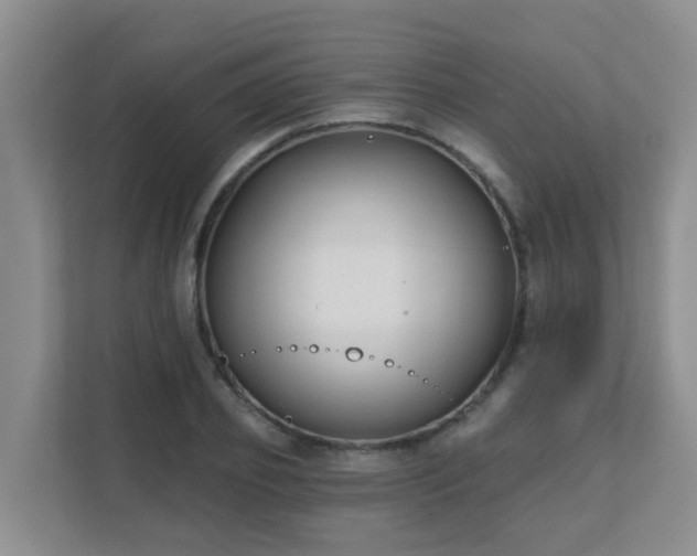 X0000111620933200907171241