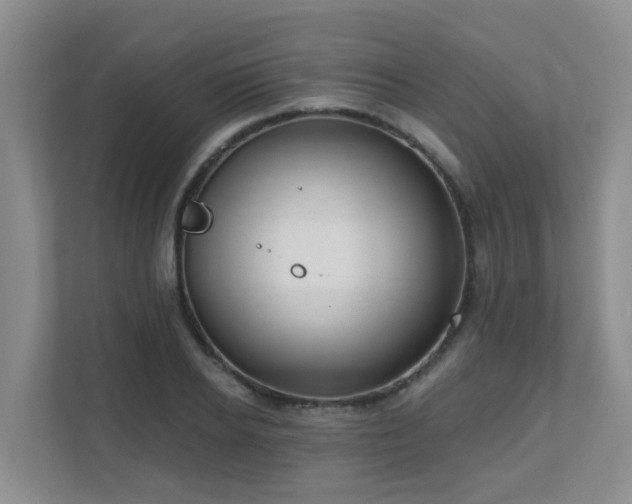 X0000111620934200907171241