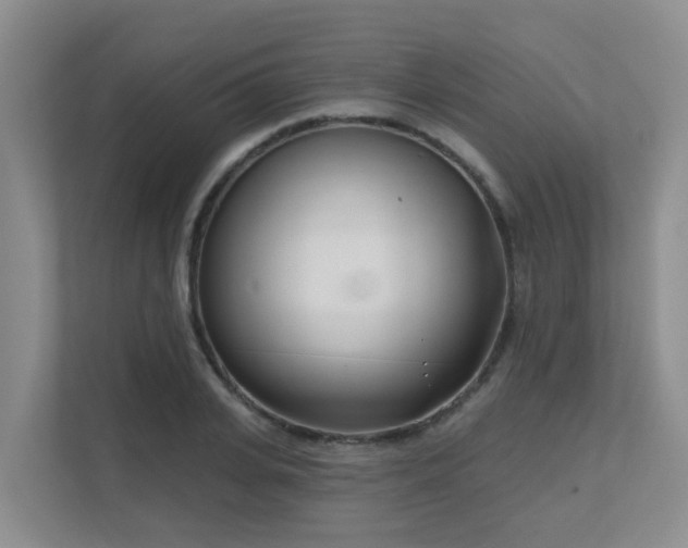 X0000111620935200907171241