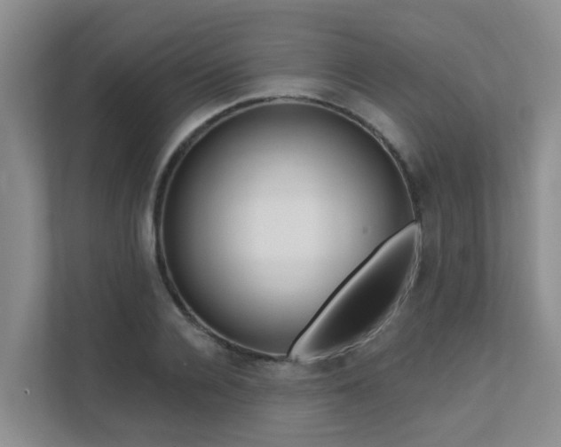 X0000111620936200907171241