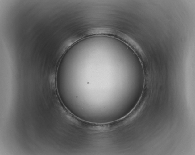X0000111620937200907171241
