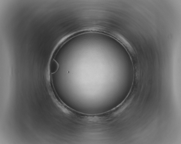 X0000111620940200907171241