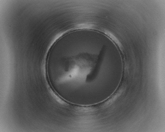 X0000111620941200907171241