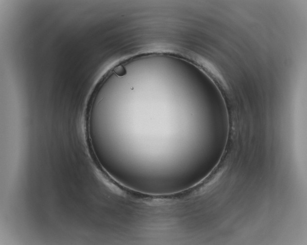 X0000111620942200907171241