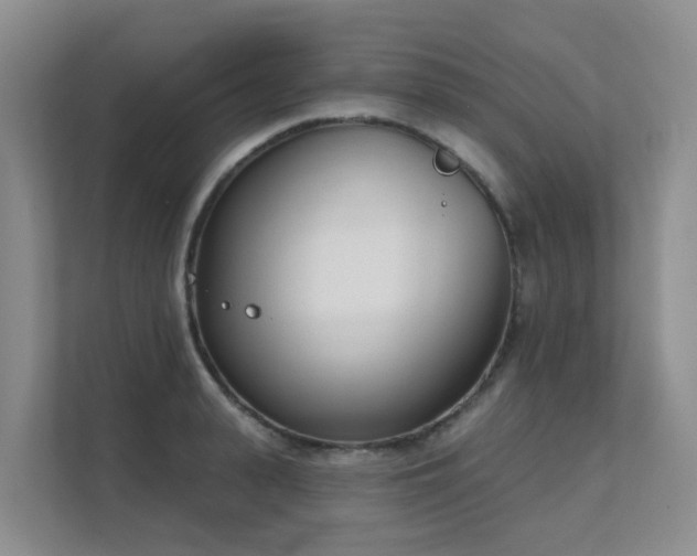 X0000111620943200907171241